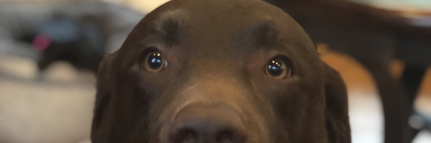 SPMonte37's profile banner image