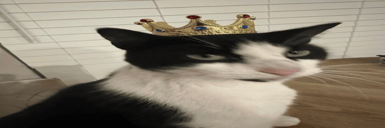 Dive :3 banner