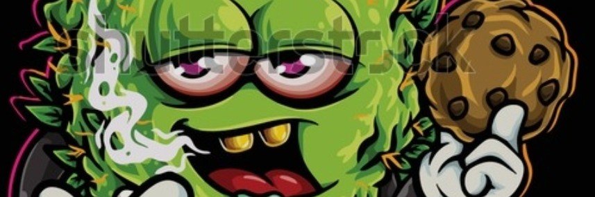 SpiderToken420's profile banner image