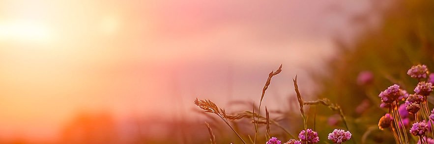 H_5l's profile banner image