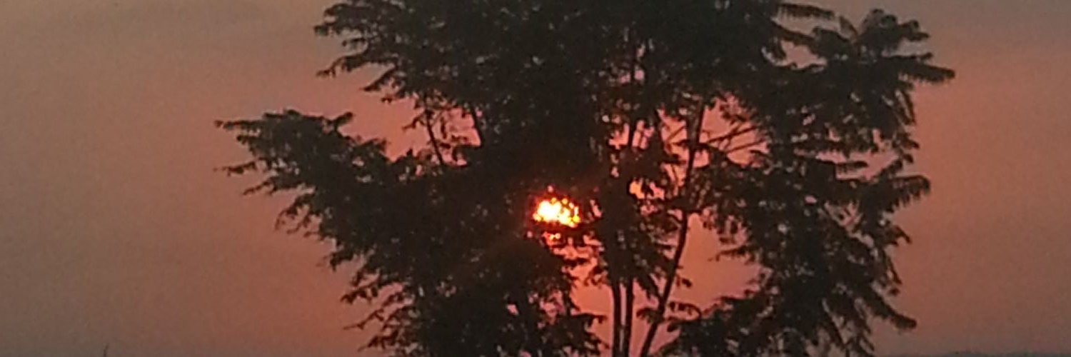 541ozcelik's profile banner image