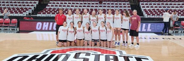 ladybeesbball Profile Banner