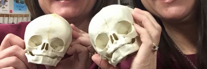 Sherri Wagner banner