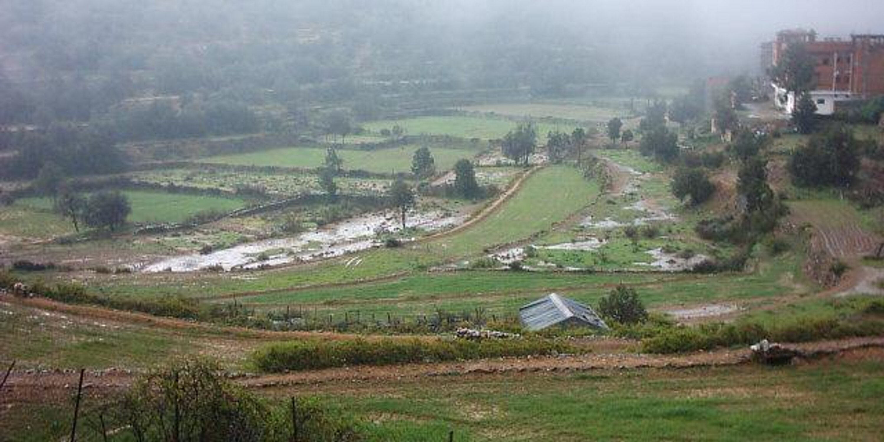 محمدعبدالله الزهراني banner