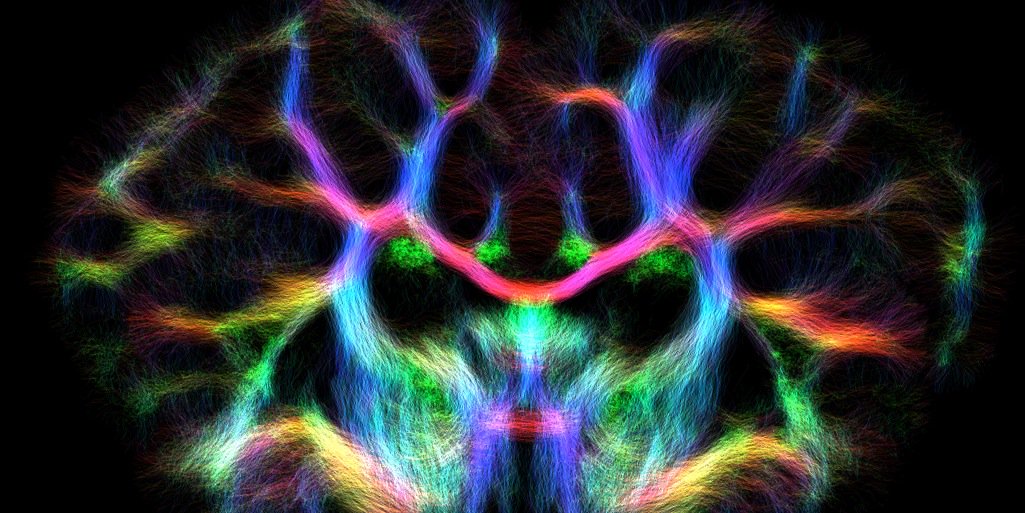 Mary Tolcos 🤓🧠👩🏻‍🔬 banner