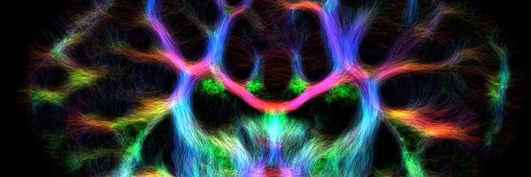 mtolcos Profile Banner