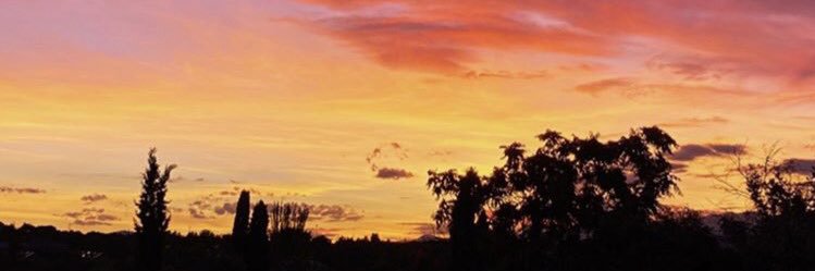 Mapachit01's profile banner image