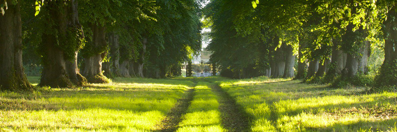 Middleton Advisors banner