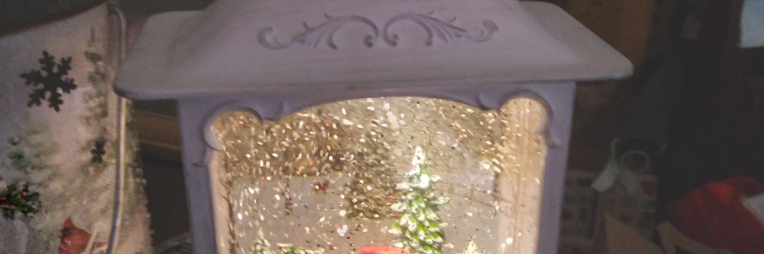 donna schultz banner