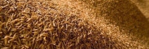 Michelson Helene banner