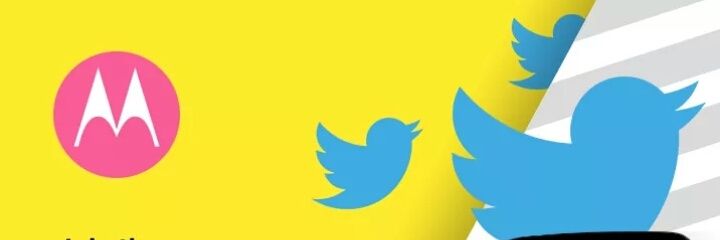 amylimos's profile banner image
