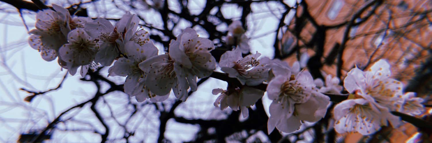 まる banner