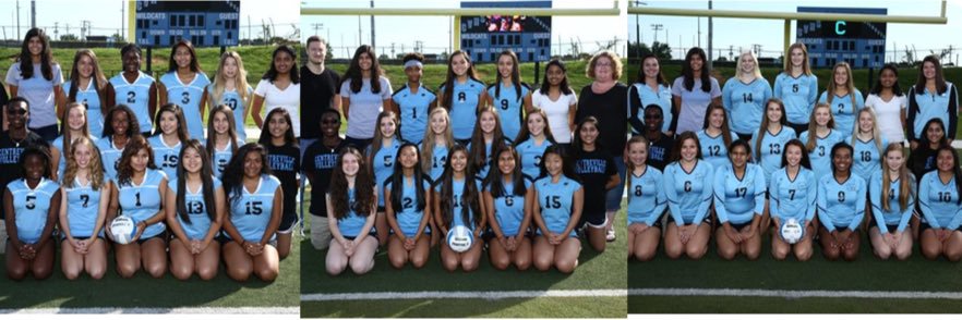 CVHS Volleyball banner