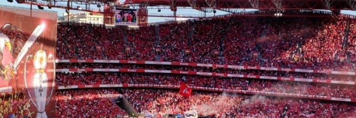 Ocuringa21's profile banner image