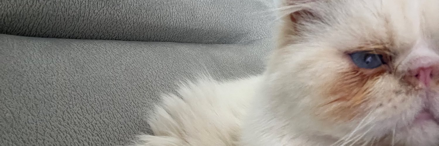 babexly's profile banner image