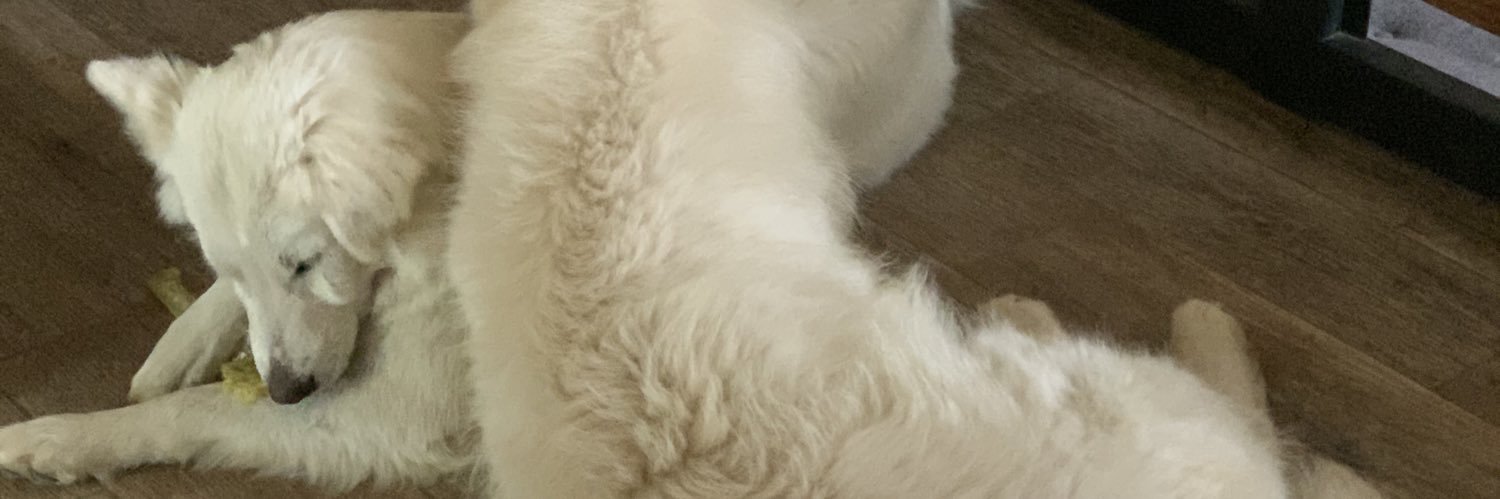 Aleitaa's profile banner image