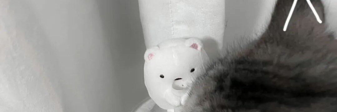盐次方 banner