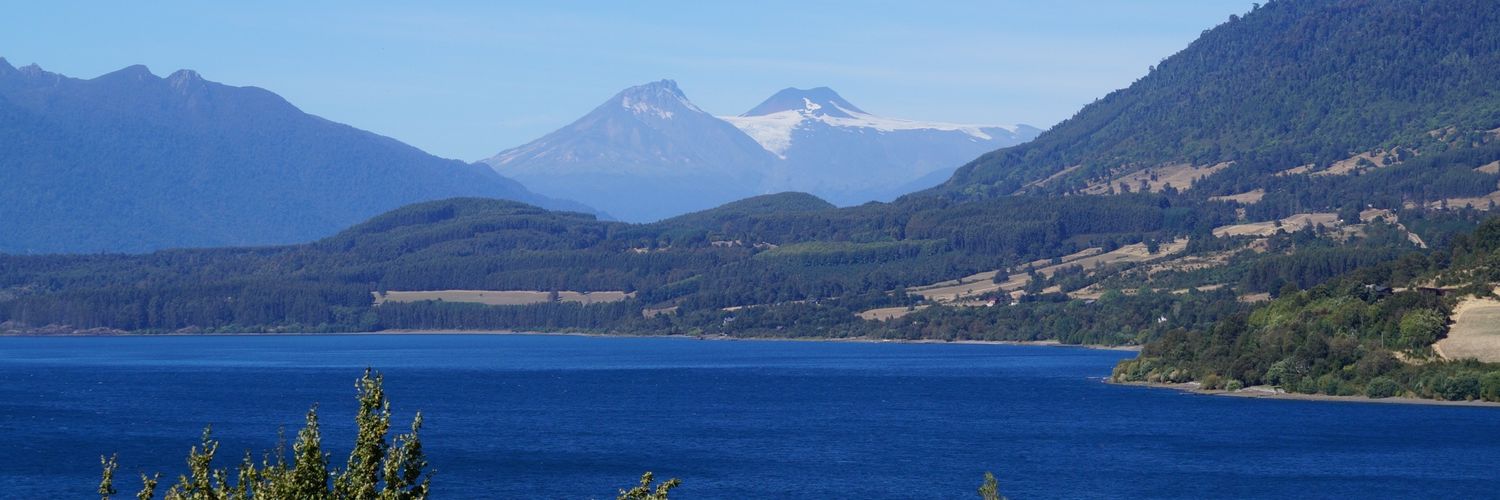 MrMarmotin's profile banner image