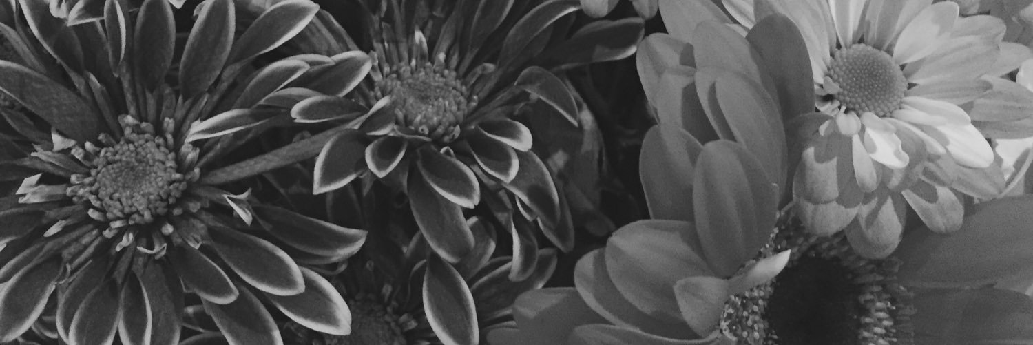 sydbrady's profile banner image