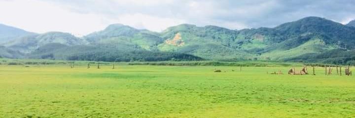 Lakekathun's profile banner image