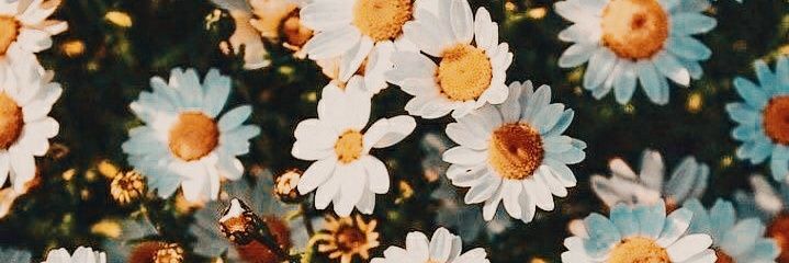 _19940803's profile banner image
