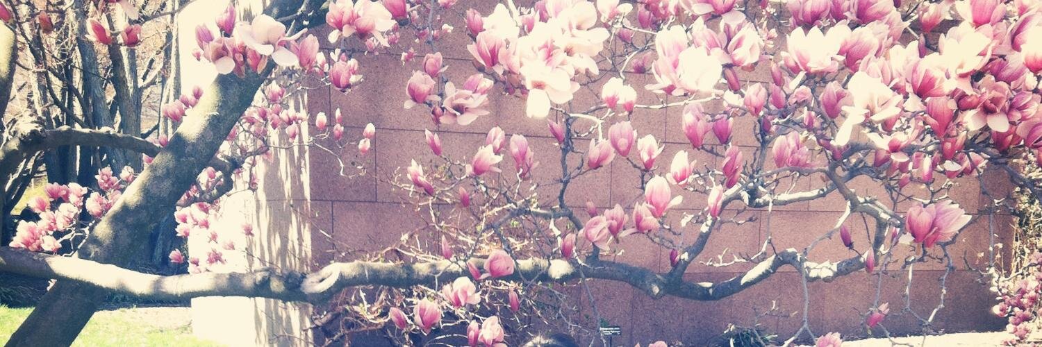 yelena moroz alpert banner