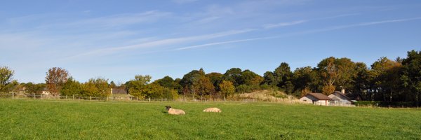 cantraybridge_ Profile Banner