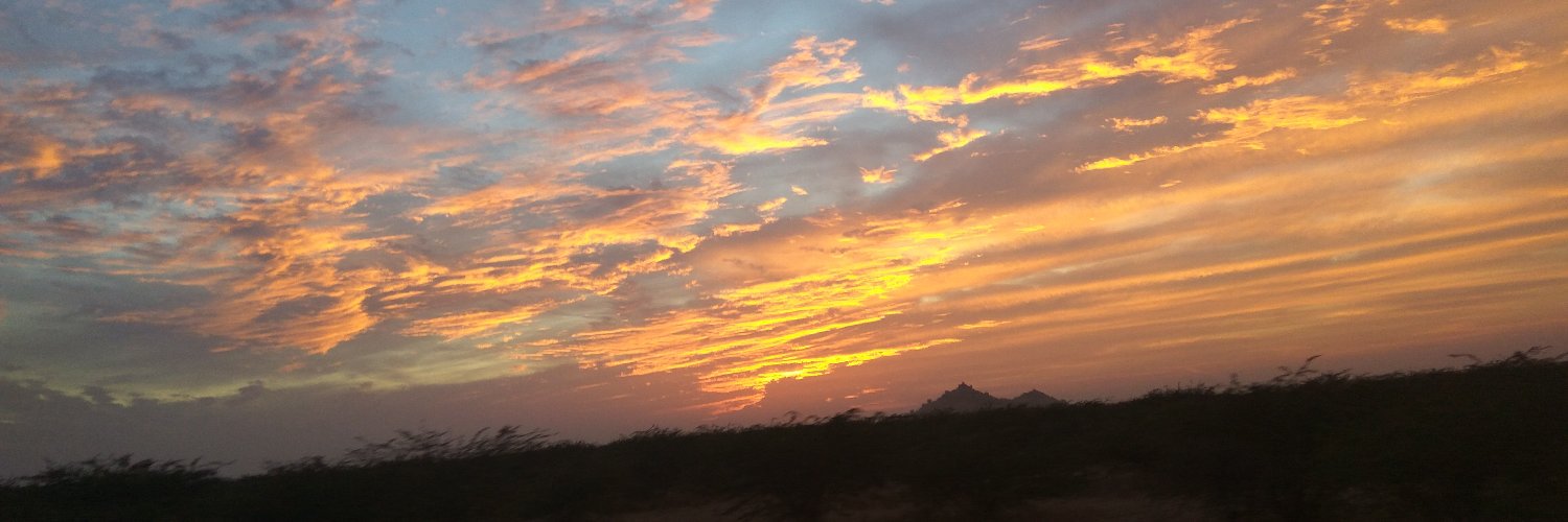ningoyal's profile banner image