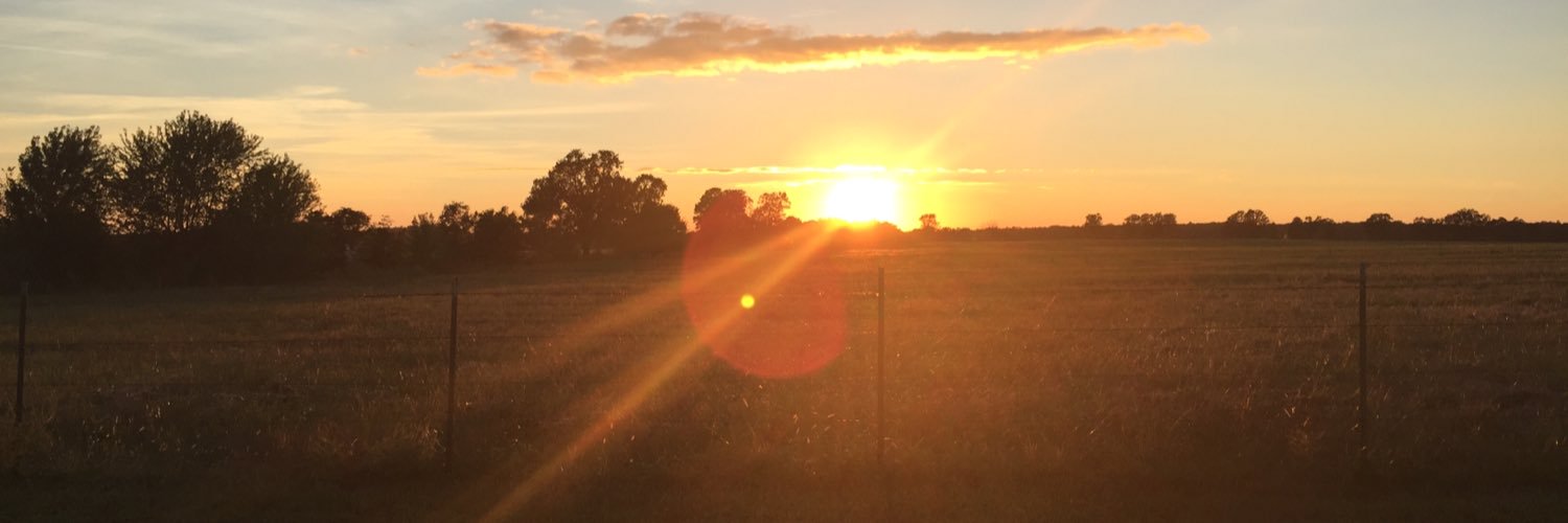 ChachaBizzle's profile banner image