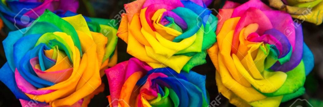 roseart111's profile banner image