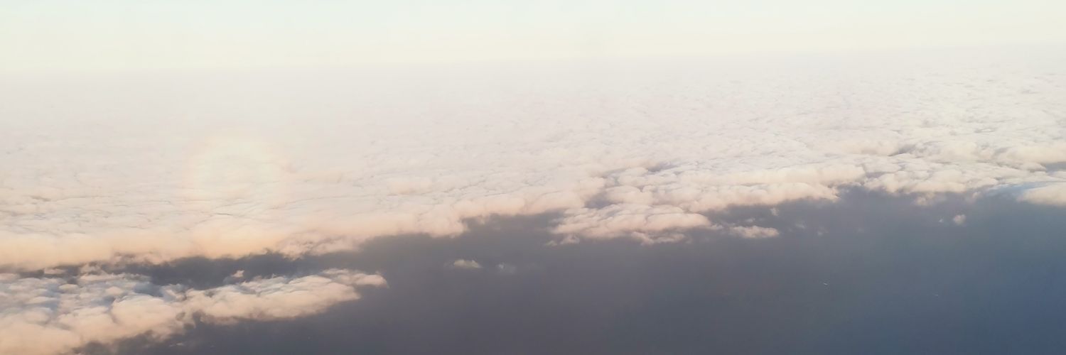 D banner
