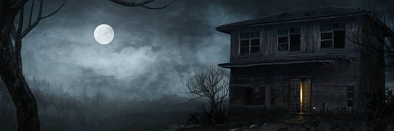 Davideiis's profile banner image