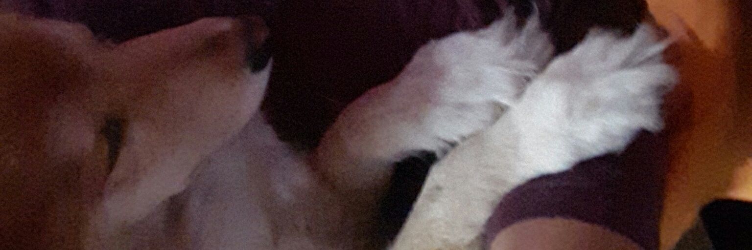 alx9989's profile banner image