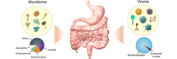 Tao_Zuo_ Profile Banner