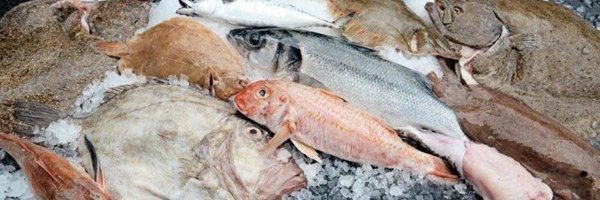 DirectSeafoodsC Profile Banner