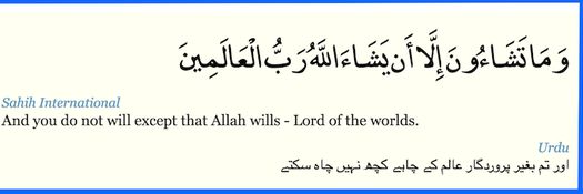 Ali Rehman #freePalestine🇵🇸 banner