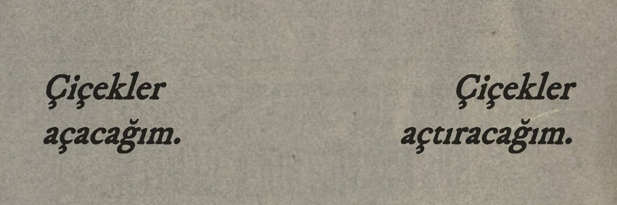 Çiğdem banner