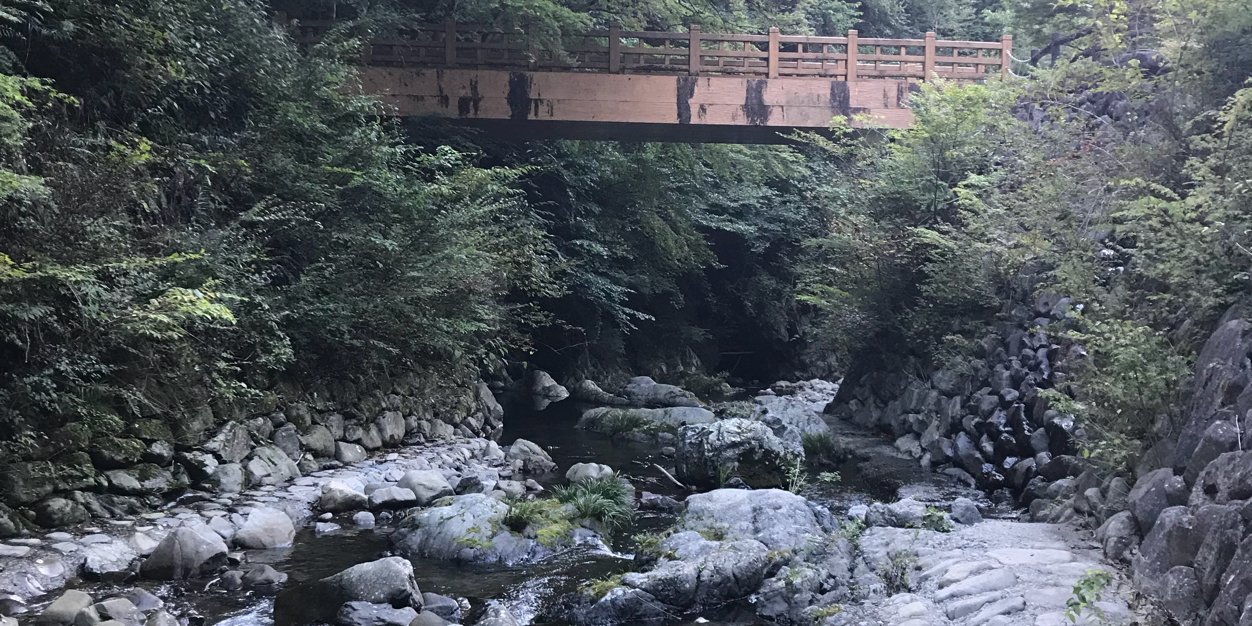 たっつんゅ🧊 banner