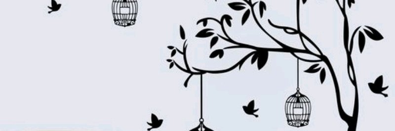 MAAhmedb's profile banner image