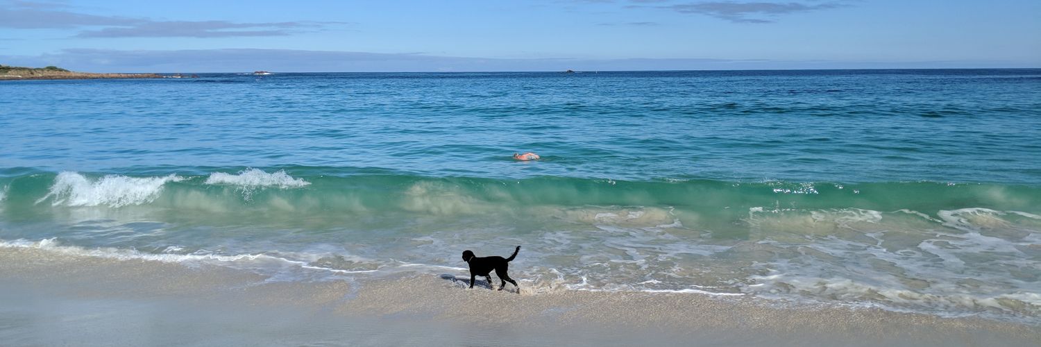 peterwilliams's profile banner image