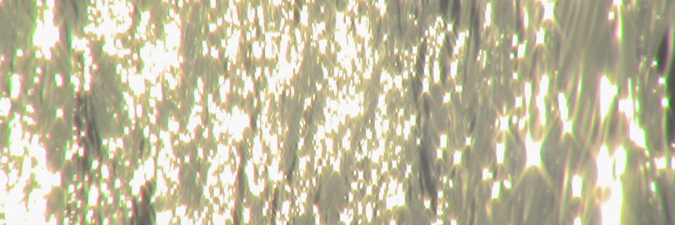 alba_lua's profile banner image