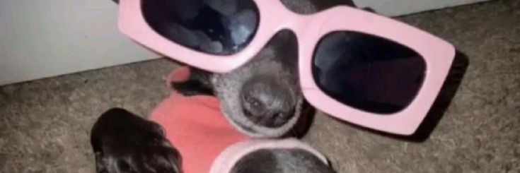laump0's profile banner image