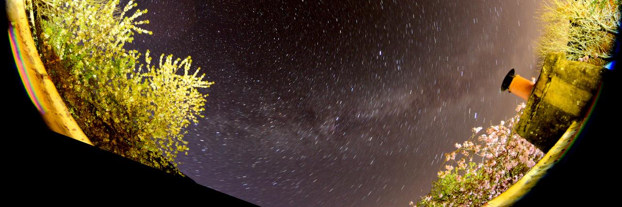 Jamie Shepherd banner