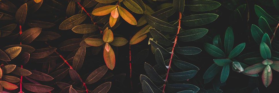 Marvyben's profile banner image