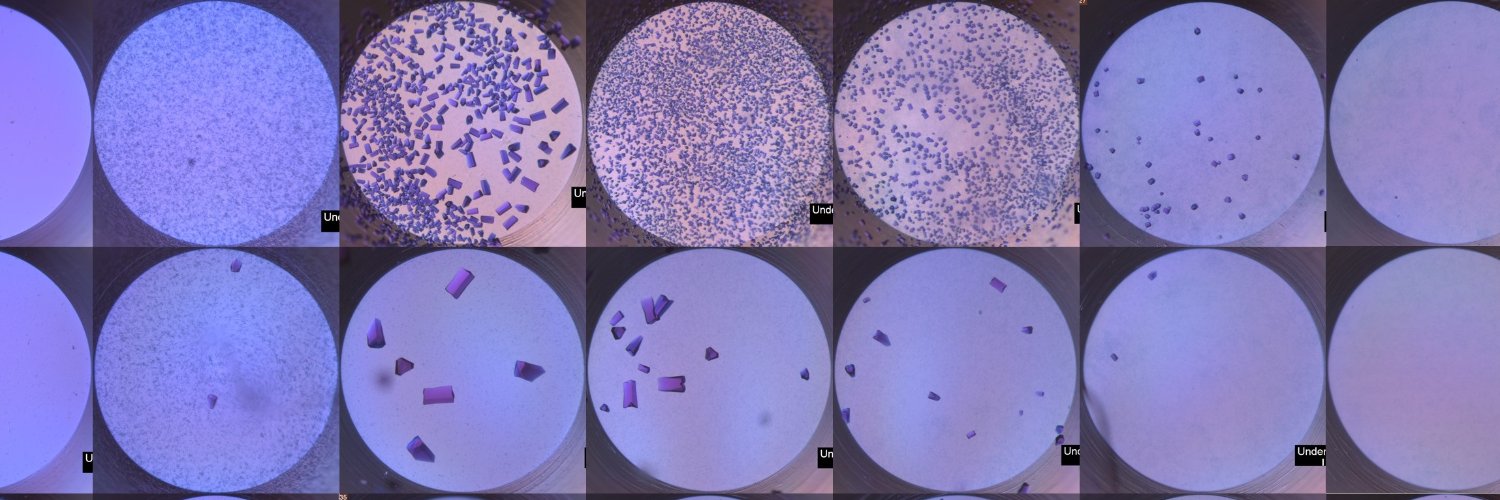 Douglas Instruments banner