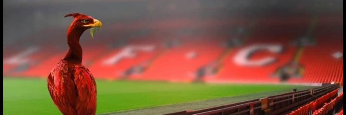 TStromgren's profile banner image