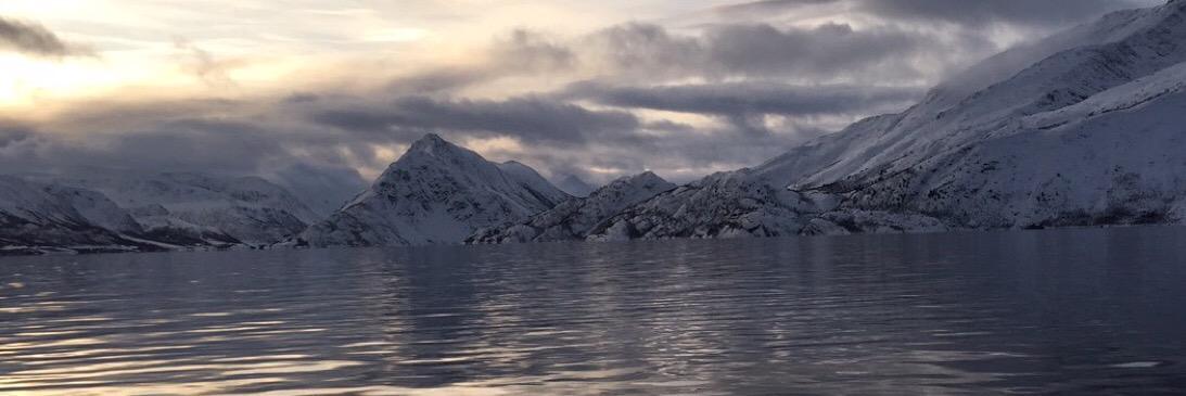 Steffennerdal's profile banner image