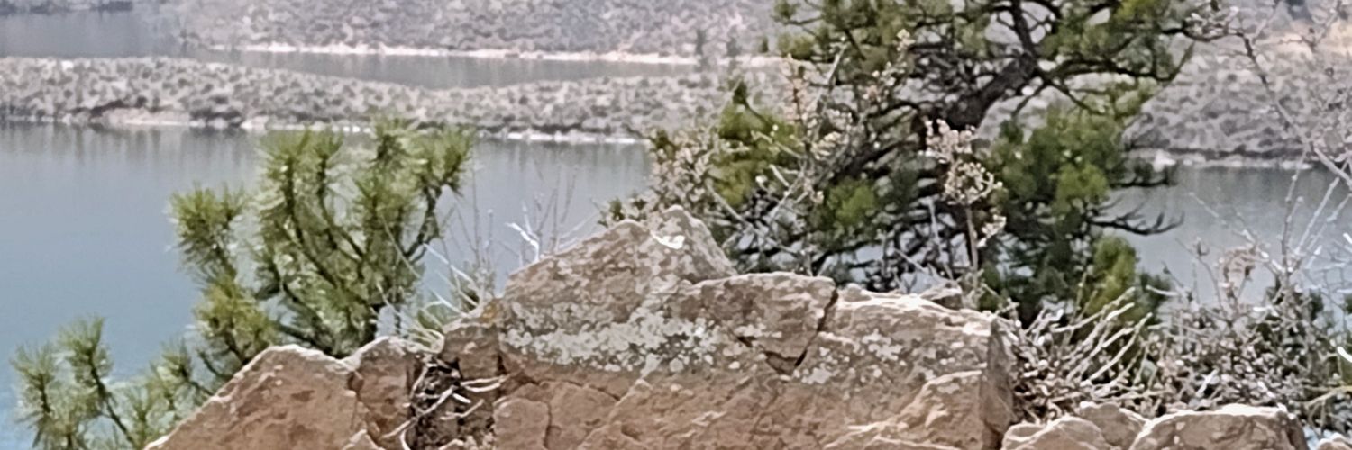 Colorado Native banner