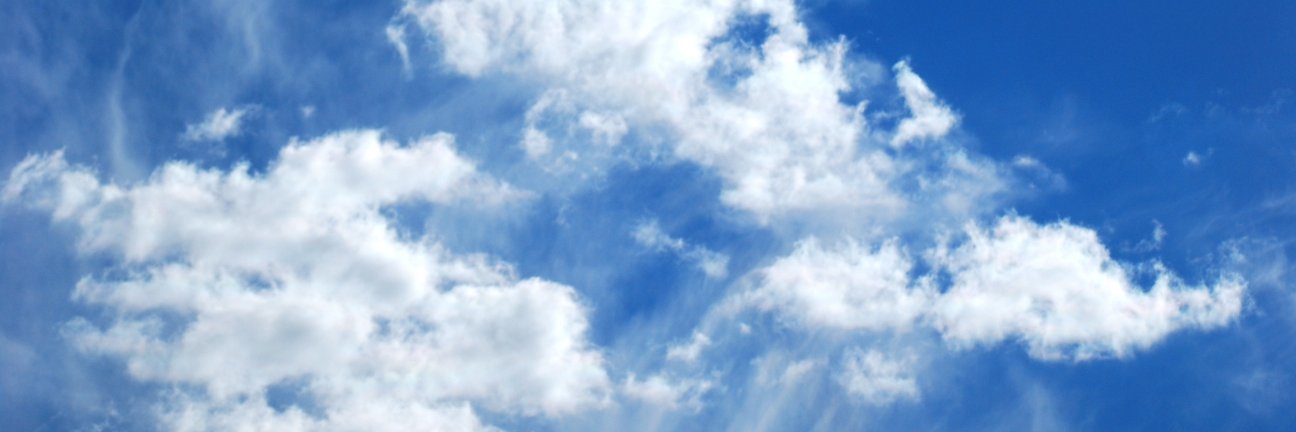 diondew's profile banner image