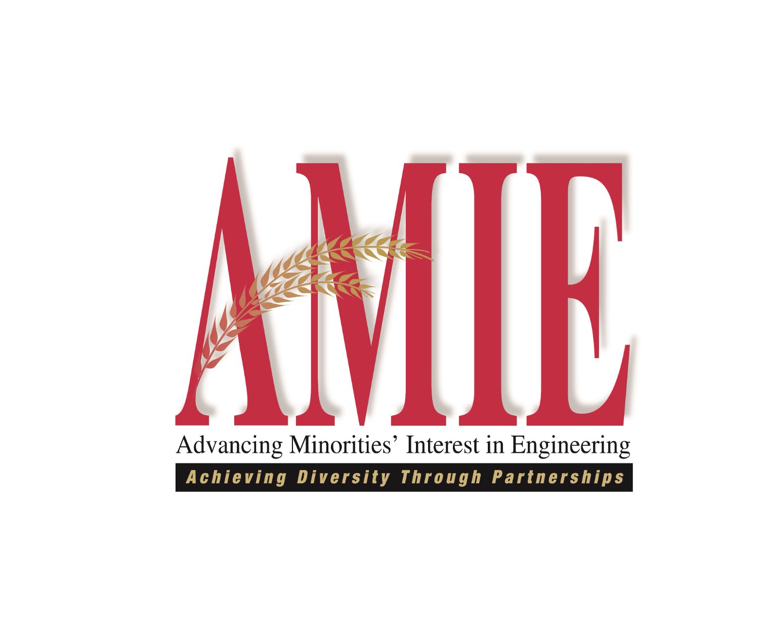 AMIEpartners's profile banner image